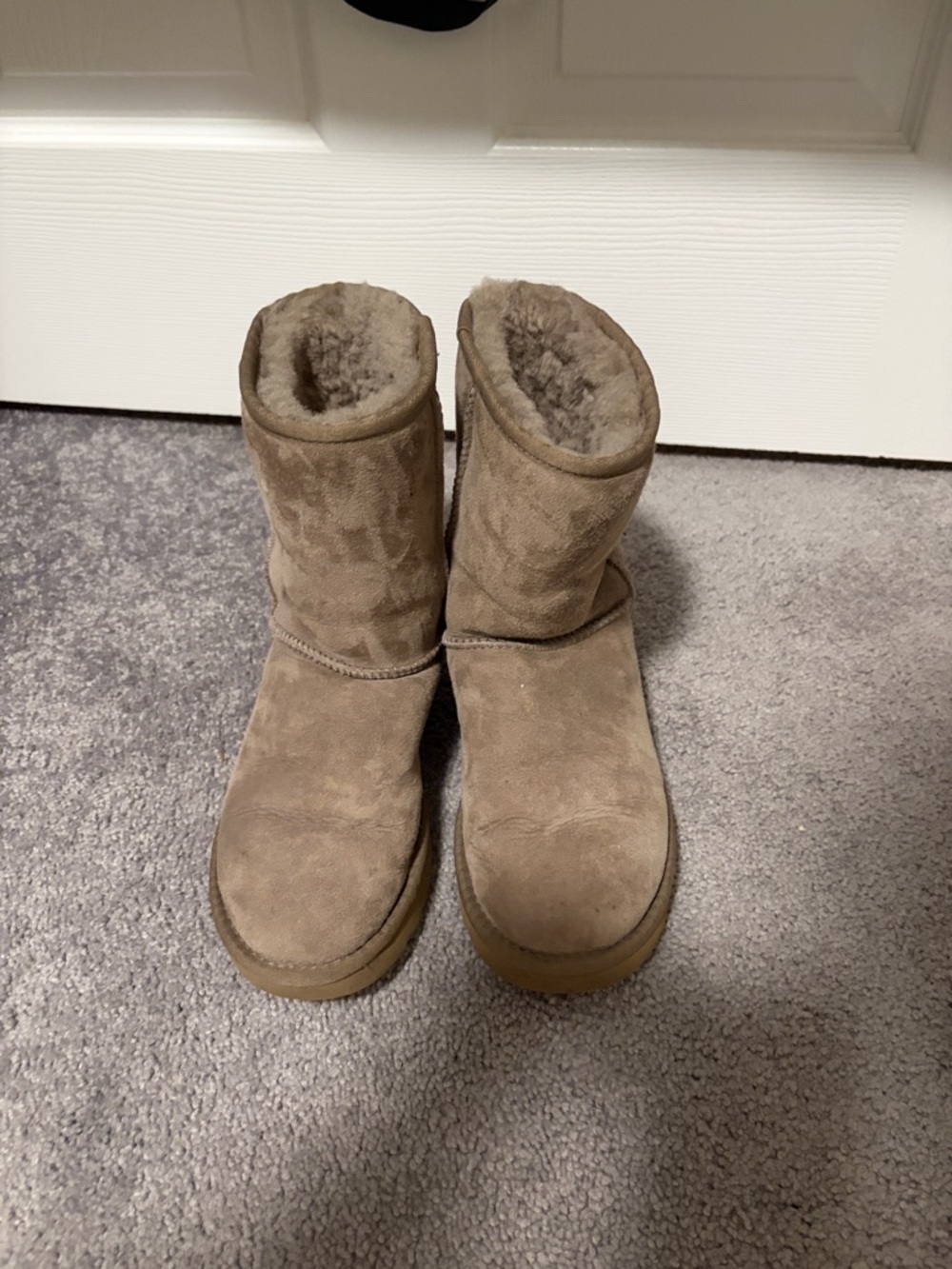 UGG Chestnut Suede Classic Short Boots